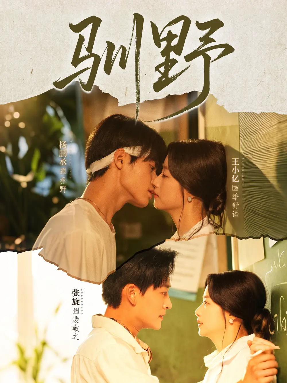 《驯野》完整版资源哪里找？《驯野》短剧高清全集在线观看与网盘下载指南