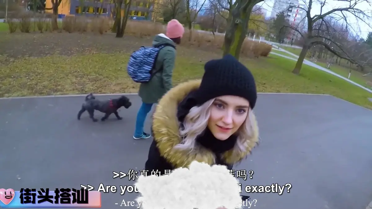 《捷克街头搭讪系列》 / 2025超清无删减版 / 日语中字完整资源 / 在线观看与网盘下载 / 高清动漫