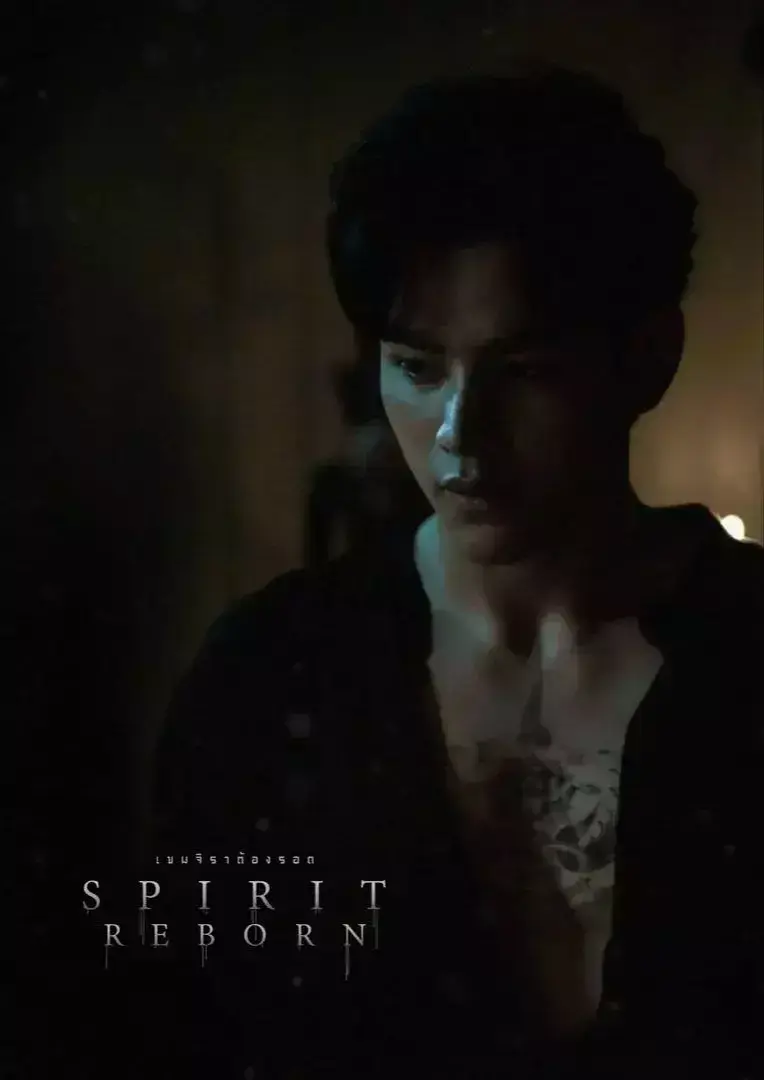 《灵魂重生》立即观看！《灵魂重生》全集高清资源迅雷下载+网盘在线播放，双男主颜值爆表名场面一次看够