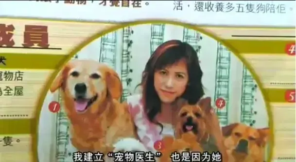 《女人与狗》百度网盘高清资源下载-《女人与狗》未删减版中文字幕完整版迅雷网盘播放