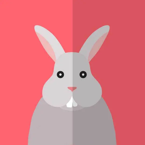 《性课程》2025韩剧全集百度网盘资源下载-《性课程》1080P无删减完整版迅雷网盘播放资源