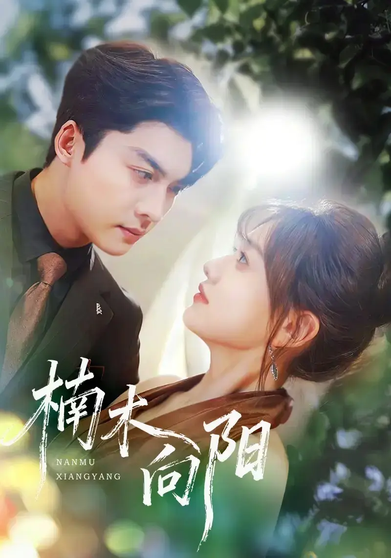 《楠木向阳》全集70集完整版！重生女主搞事业爽到爆，熬夜追更停不下来！《楠木向阳》高清资源百度网盘夸克网盘免费下载