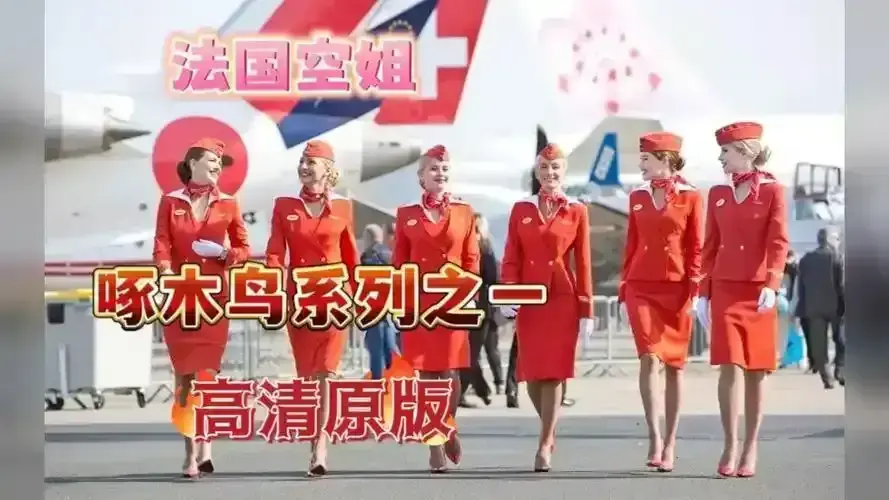 《法国空姐》《法国空姐》三季全（2017-2023）未删减版免费看-法国空姐全集高清无广告在线观看-4K超清法语原音航空剧蓝光资源《法国空姐》