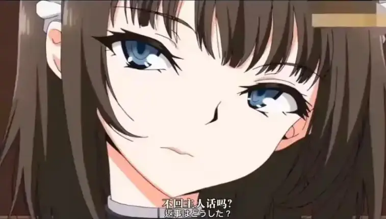 《女仆的教育》 / 超清无删减全集 / 12集完整版 / 萌系动画 / HD高清资源